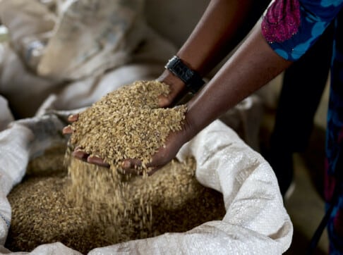 grains-and-rice-in-bag-market-nigeria-scaled-flipped