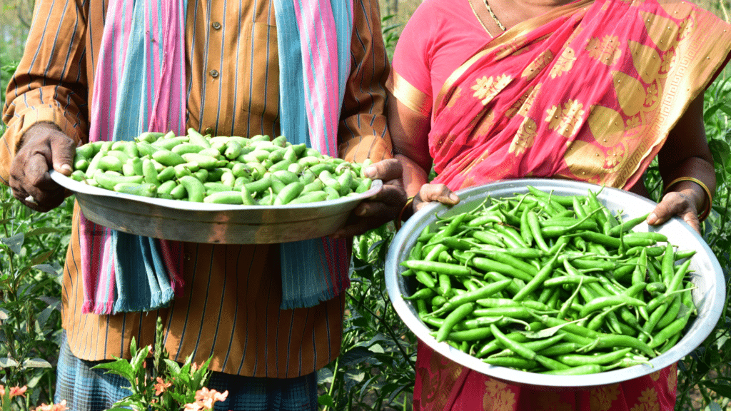 Farmers hold beans at Andhra Pradesh Community-Managed Natural Farming, in India