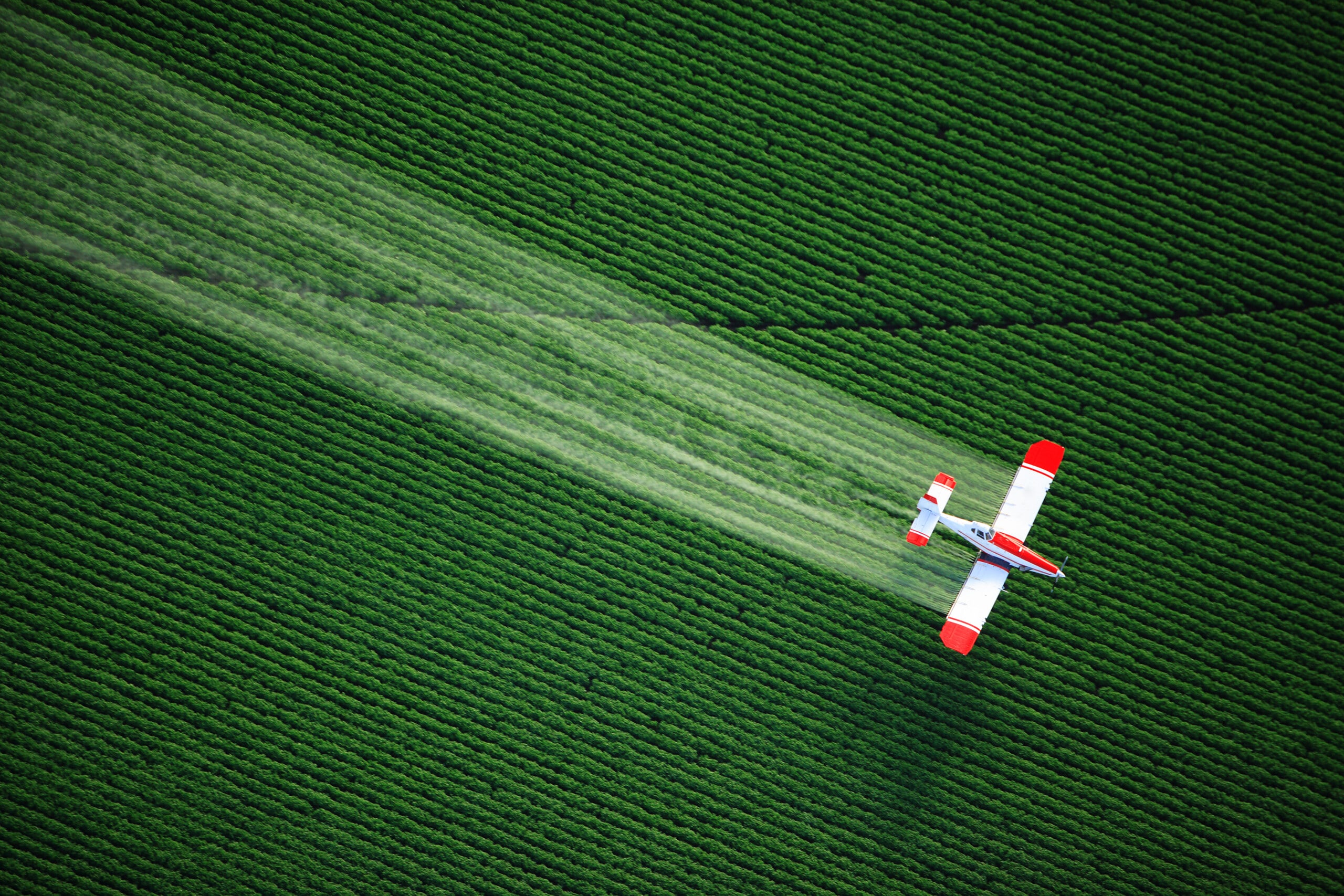 aerial-view-of-a-crop-duster-or-aerial-applicator-flying-low-and-spraying-agricultural-chemicals-over-lush-green-potato-fields-in-idaho